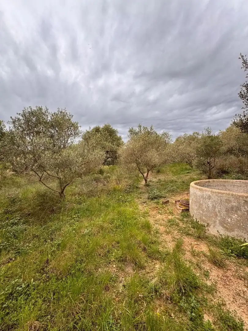 Terreno residencial en venta en Urbanitzacio Garrigots, imagen 17