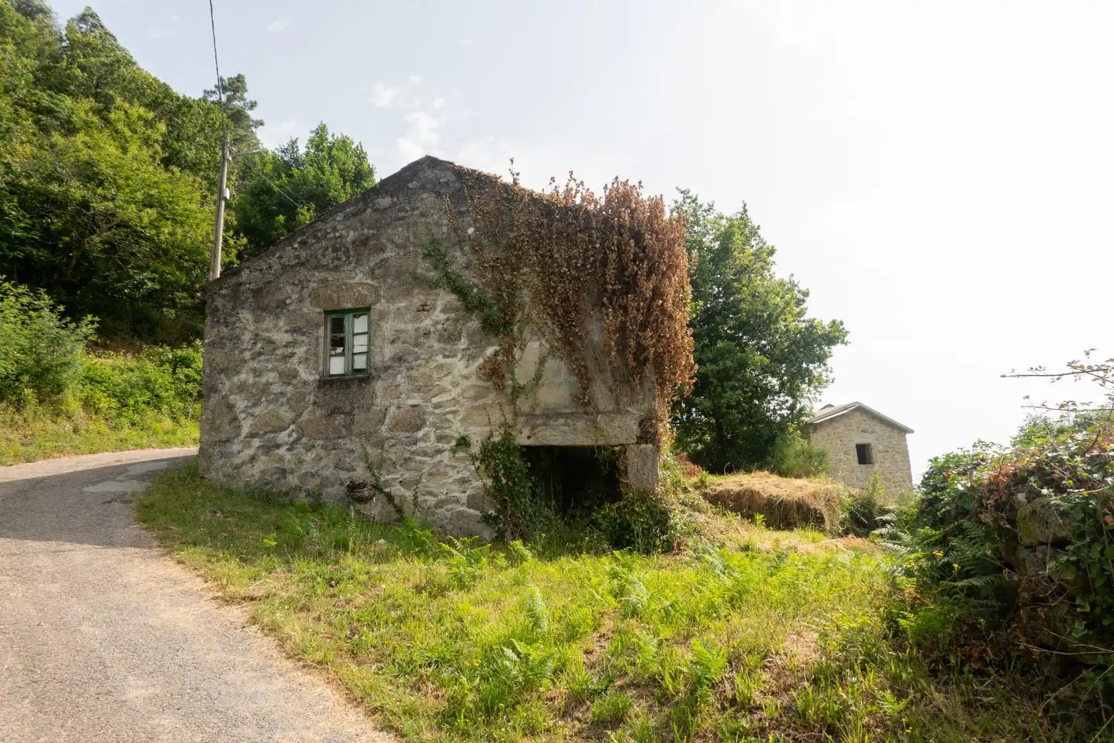 Vista exterior de Finca rústica en venda en Arbo amb Jardí privat