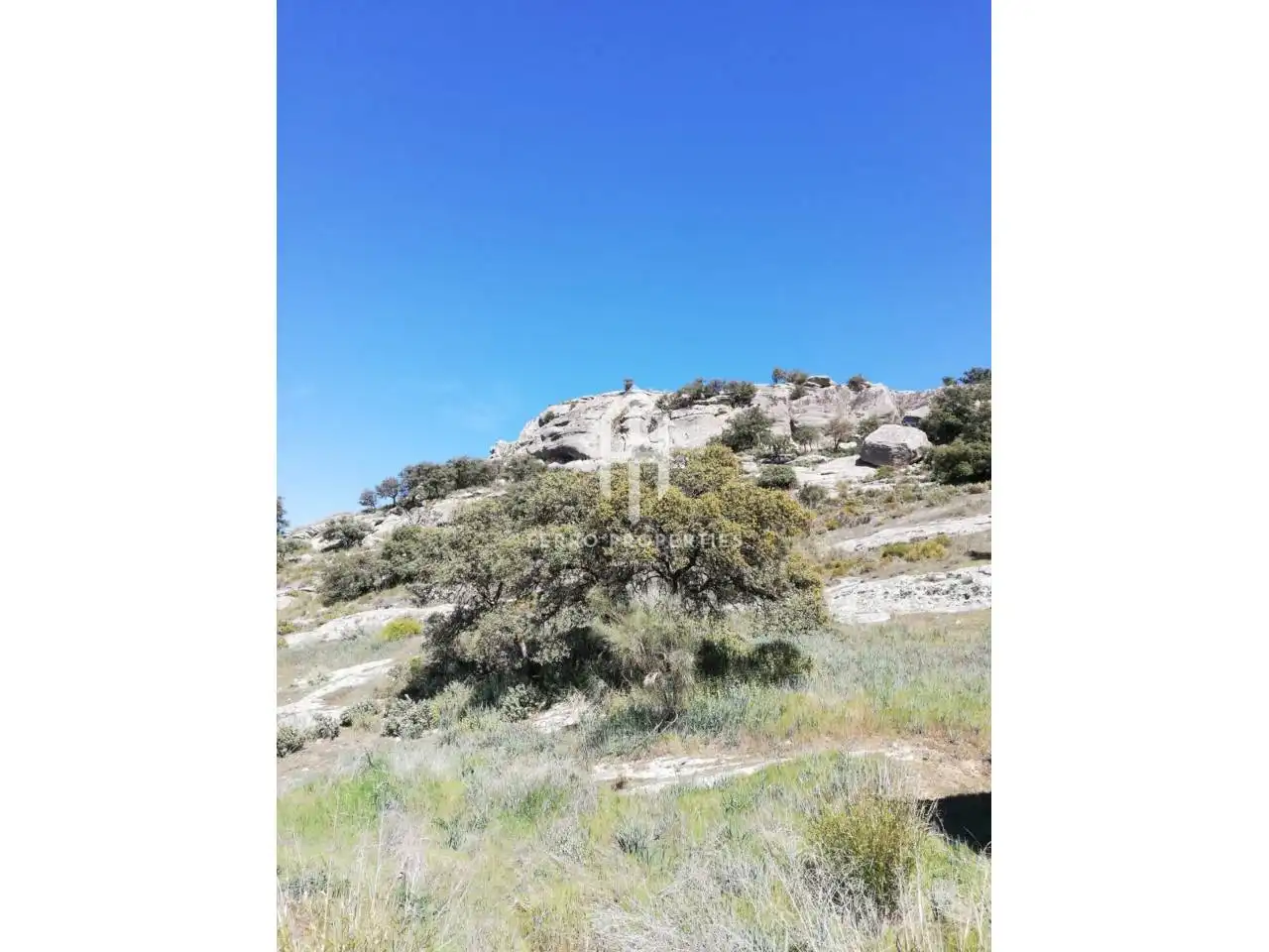 Finca rústica en venta en Zagra
