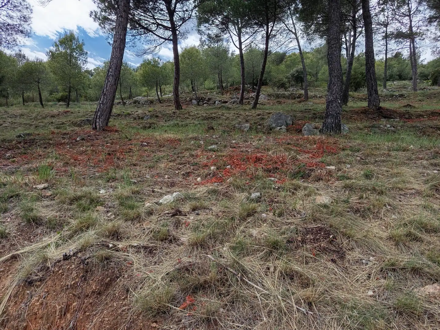 Residencial en venta en Cabrera d'Anoia