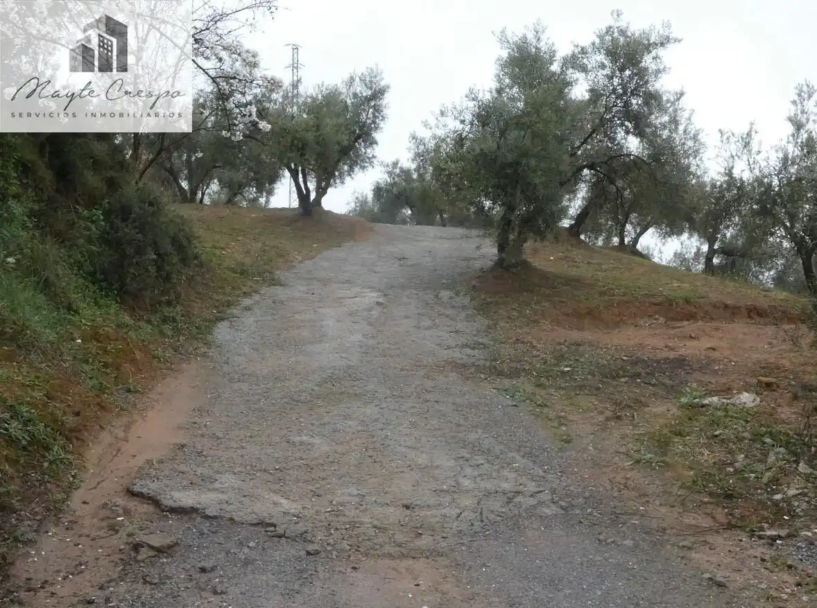 Terreni e lotti in vendita a Peligros, imagen 7
