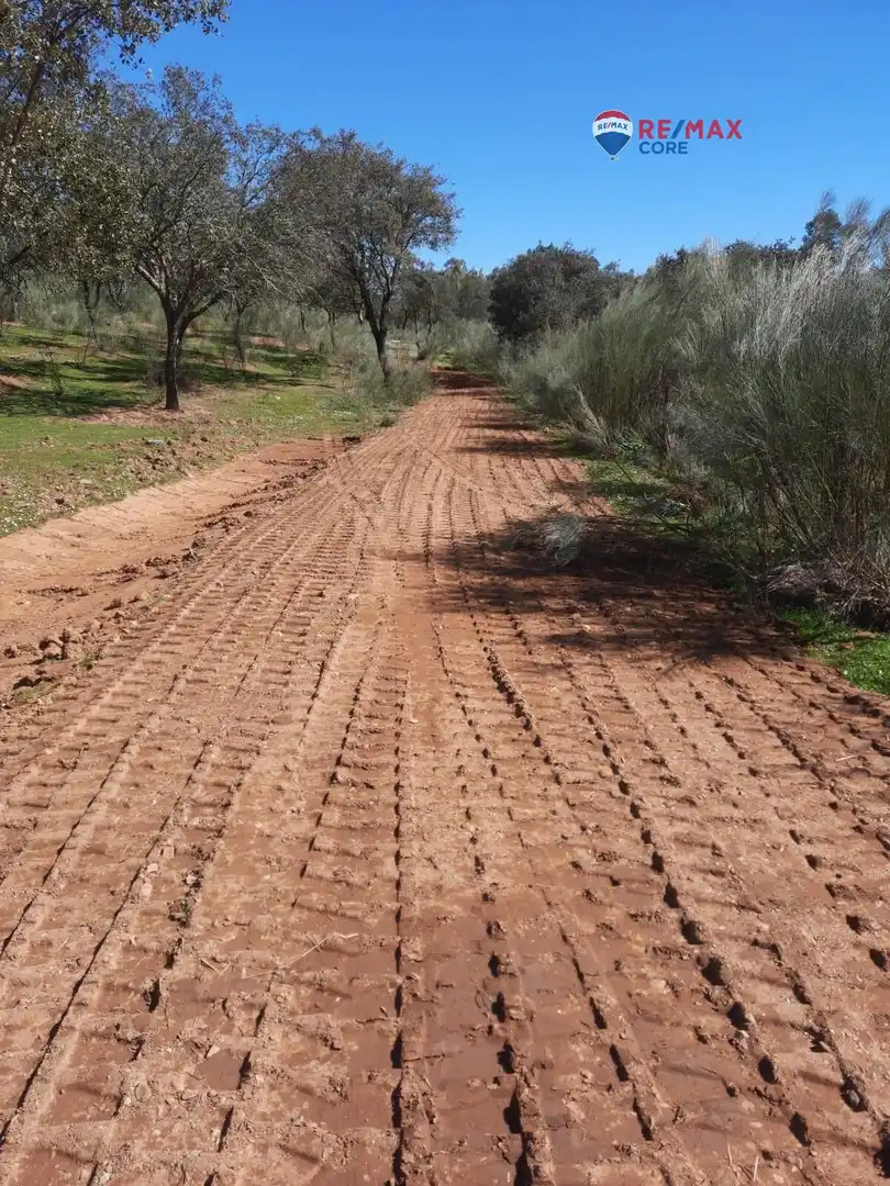 Terreni e lotti in vendita a Alburquerque, imagen 39