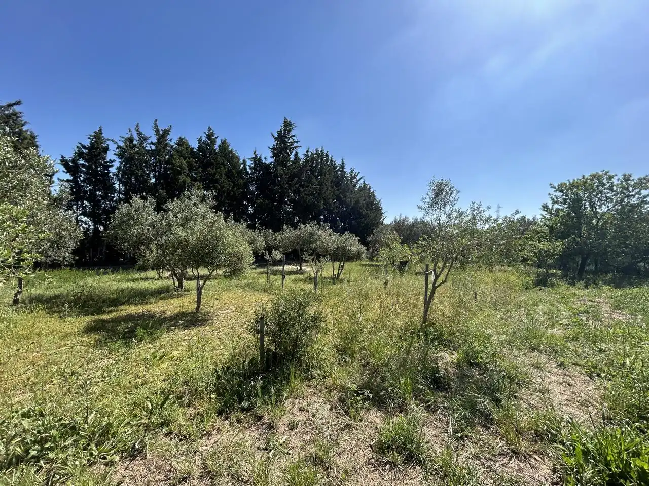 Finca rústica en venda en Tudela amb Piscina