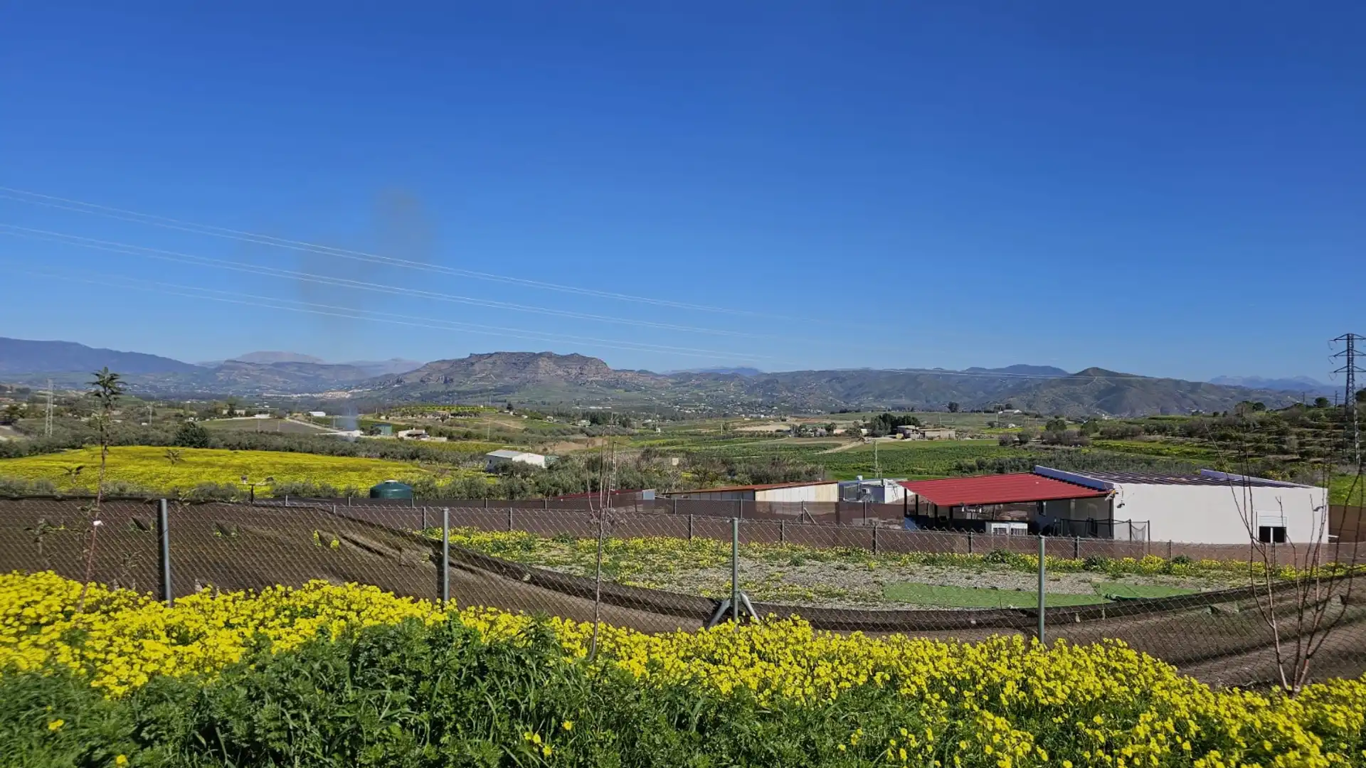 Vista exterior de Finca rústica en venda en Cártama amb Moblat
