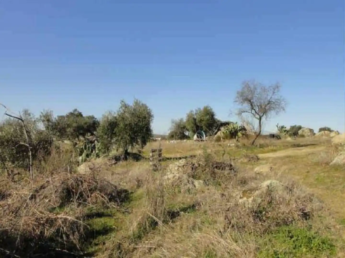 Residential for sale in Esparragosa de la Serena