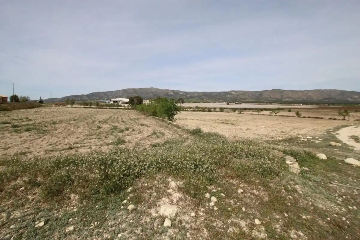 Detached house for sale in Monóvar  / Monòver, imagen 13