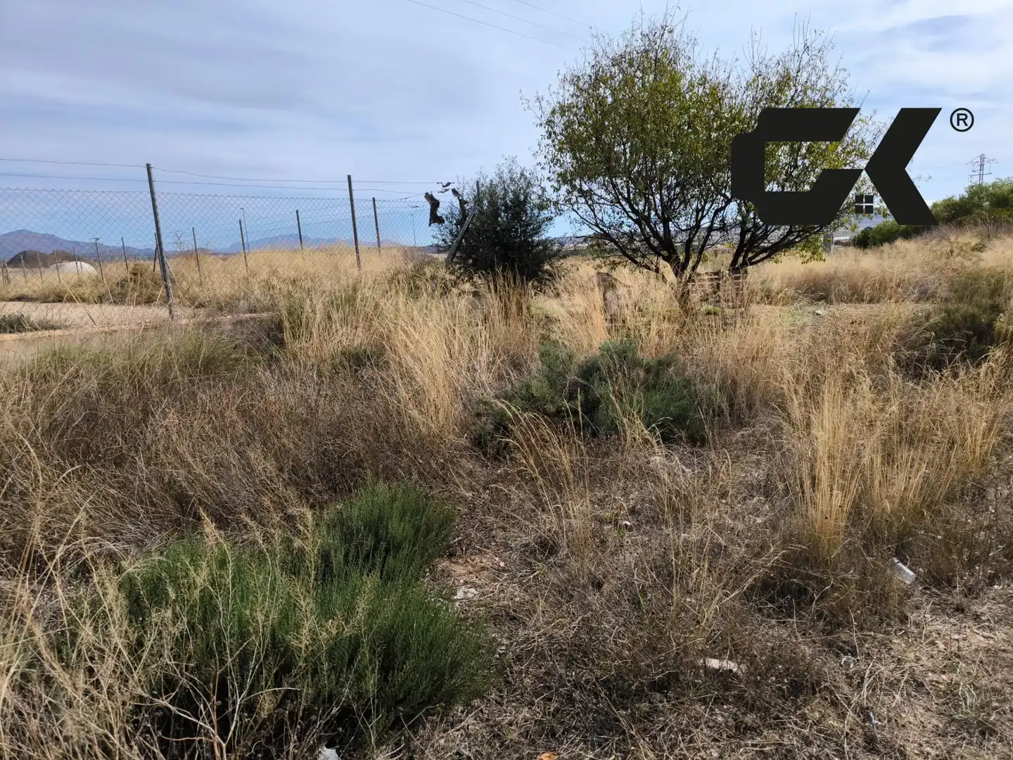 Terrenos y solares en venta en Lorca Ciudad, imagen 4