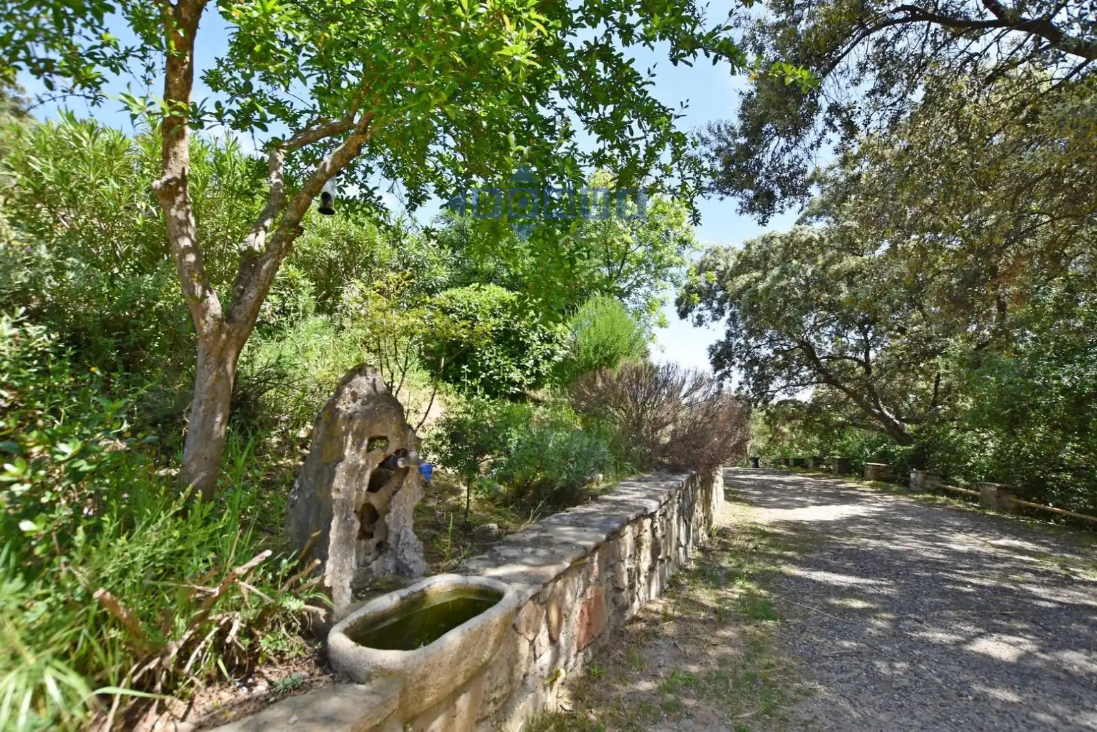 Jardín de Finca rústica en venta en Ronda con Aire acondicionado, Trastero y Piscina