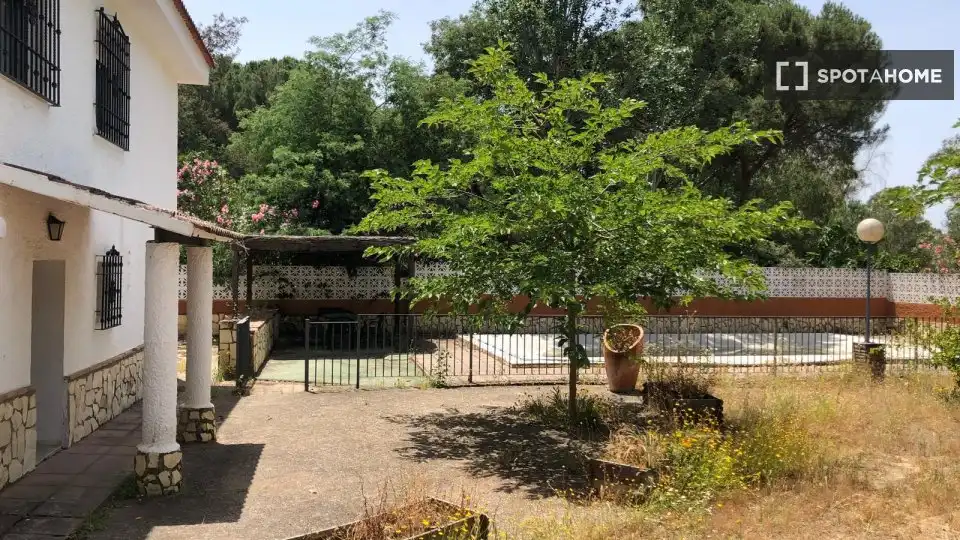 Habitació a Las Jaras