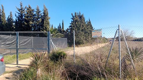Foto 2 de Terreno en venta en Pedanías Norte, Utrera