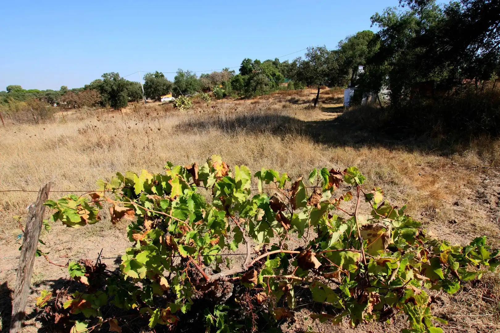 Finca rústica en venda en Badajoz amb Traster i Piscina