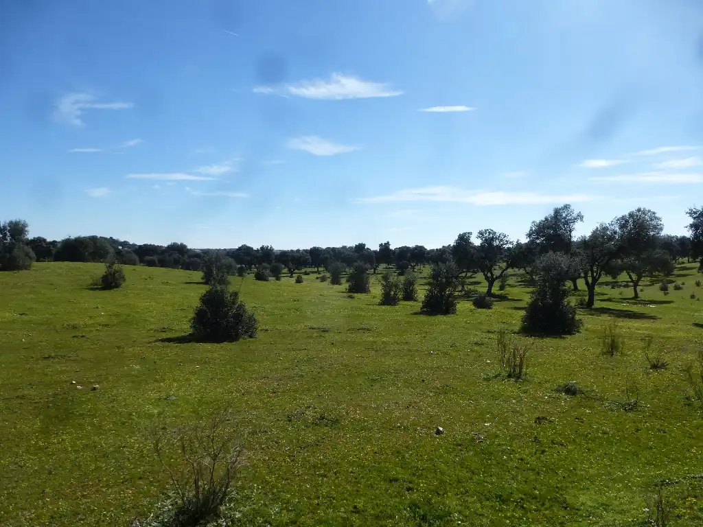 Rural land for sale in Maqueda