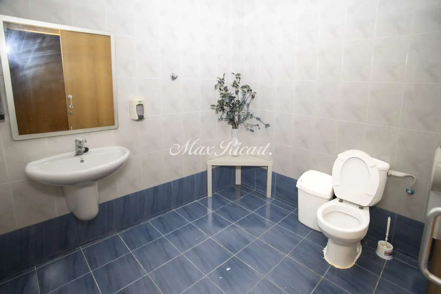 Business premises for sale in N/A, imagen 15