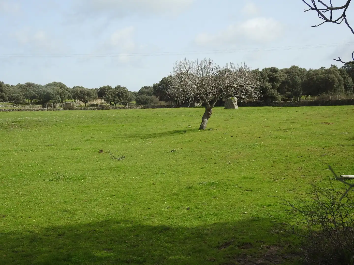 Terreni e lotti in vendita a Navamorcuende, imagen 7