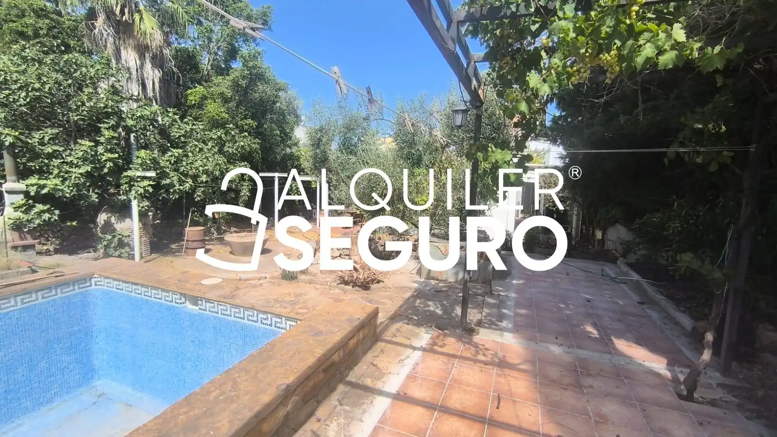 Jardín de Casa o chalet de alquiler en Almensilla con Trastero, Piscina y Amueblado