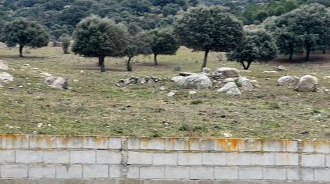 Photo 3 of Premises for sale in N/a, San Bartolomé de Pinares, Ávila