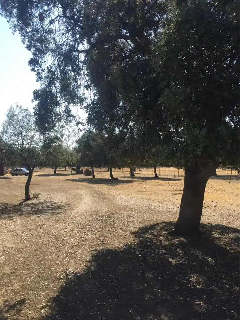 Pis en venda en Talarrubias amb Jardí privat i Moblat