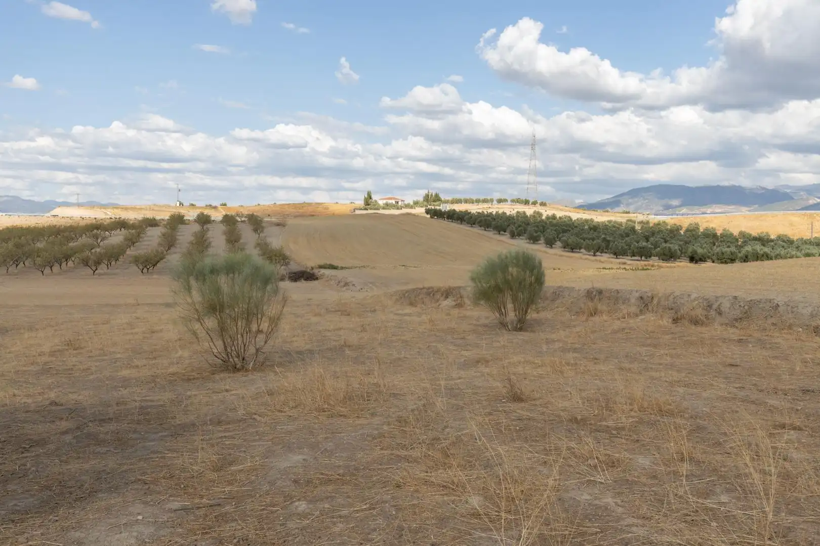Lands and plots for sale in Polígono Polígono 6 Parcela 17 CAÑADA ESPARRAGAL. VILLA D 6, imagen 12