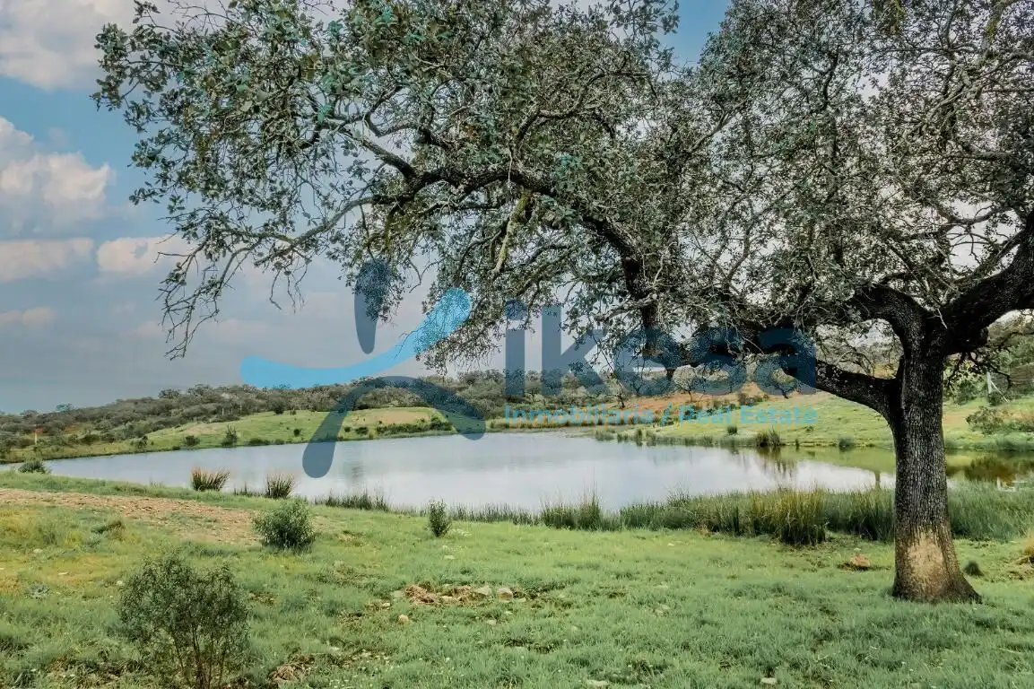 Land for sale in Puebla de Guzmán