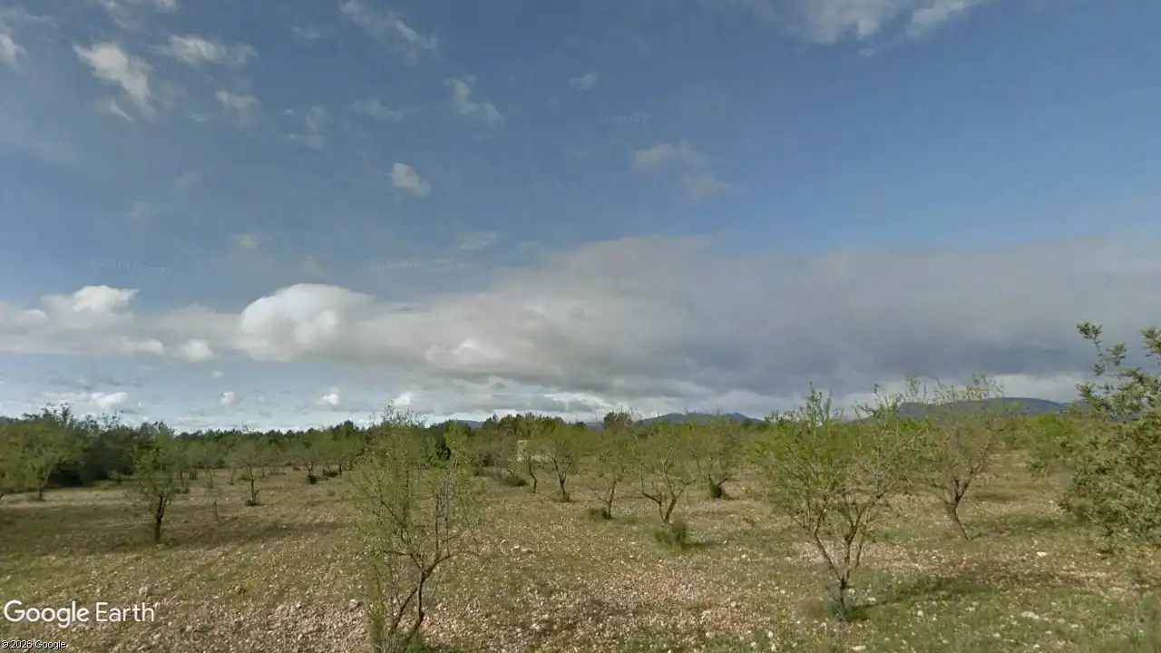 Land for sale in Traiguera