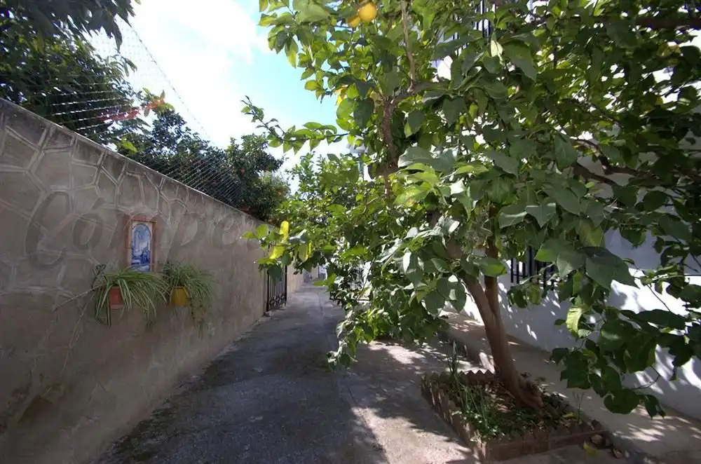 Maison avec terrasse à vendre à Cómpeta, imagen 3