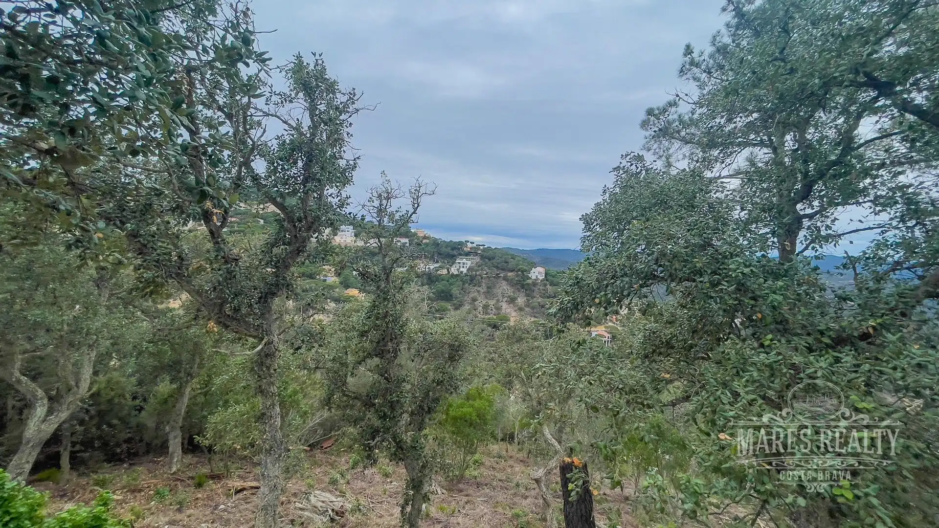 Lands and plots for sale in Serra Brava, imagen 3