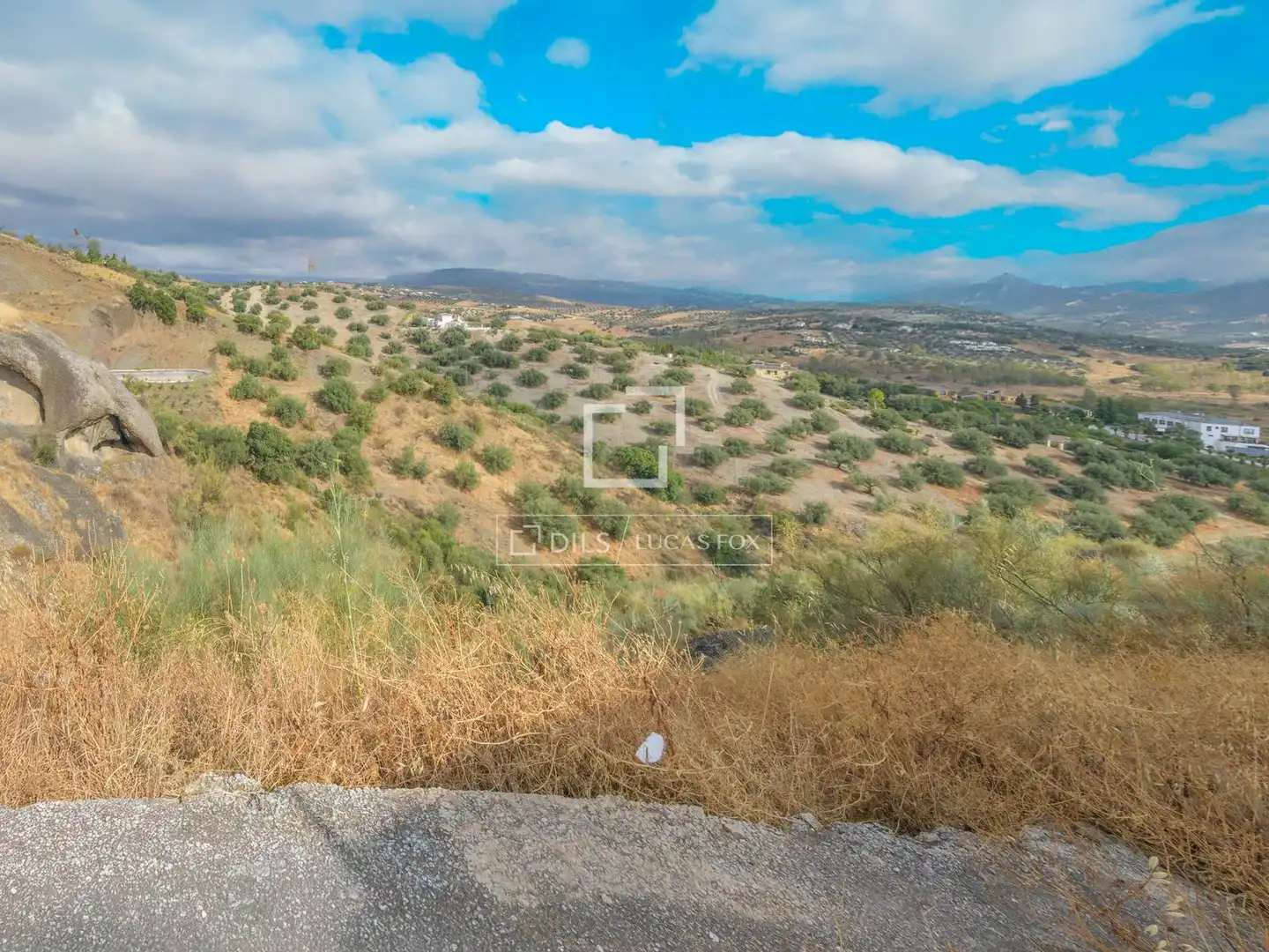 Finca rústica en venda en Viñuela amb Jardí privat i Piscina