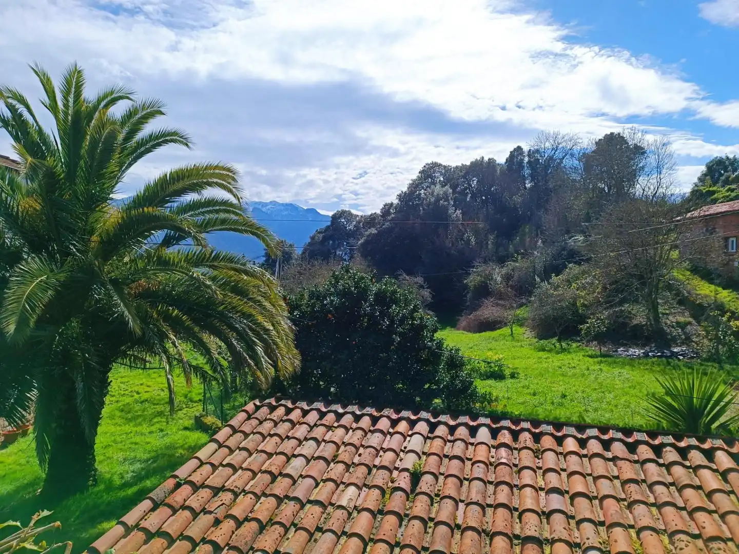 Garden of Country homes for sale in Peñamellera Baja  with Heating, Private garden and Terrace