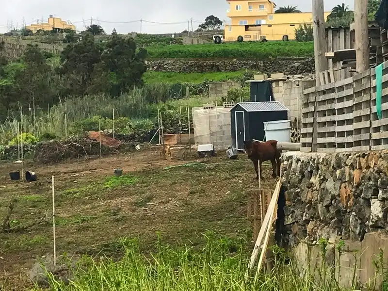 Finca rústica en venda en Moya (Las Palmas) amb Aire condicionat, Jardí privat i Terrassa