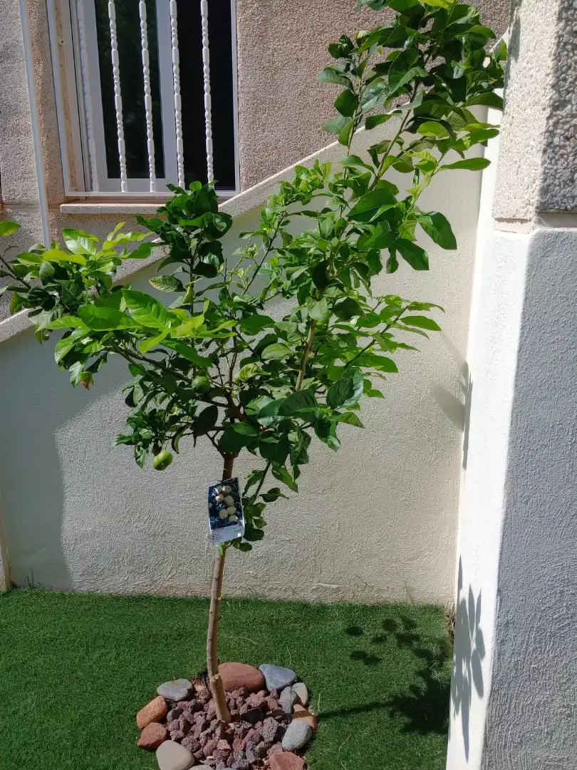 Terraza de Planta baja en venta en Cambrils con Aire acondicionado, Jardín privado y Parquet