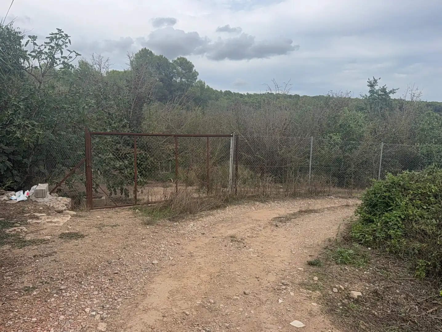Terreny rústic en venda a Carretera del Catllar 22, imagen 4