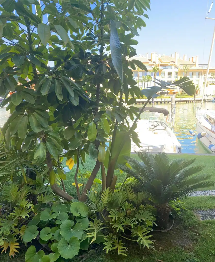 Erdgeschosswohnung mit Terrasse zum Verkauf in Puerto de Sotogrande - La Marina, imagen 9