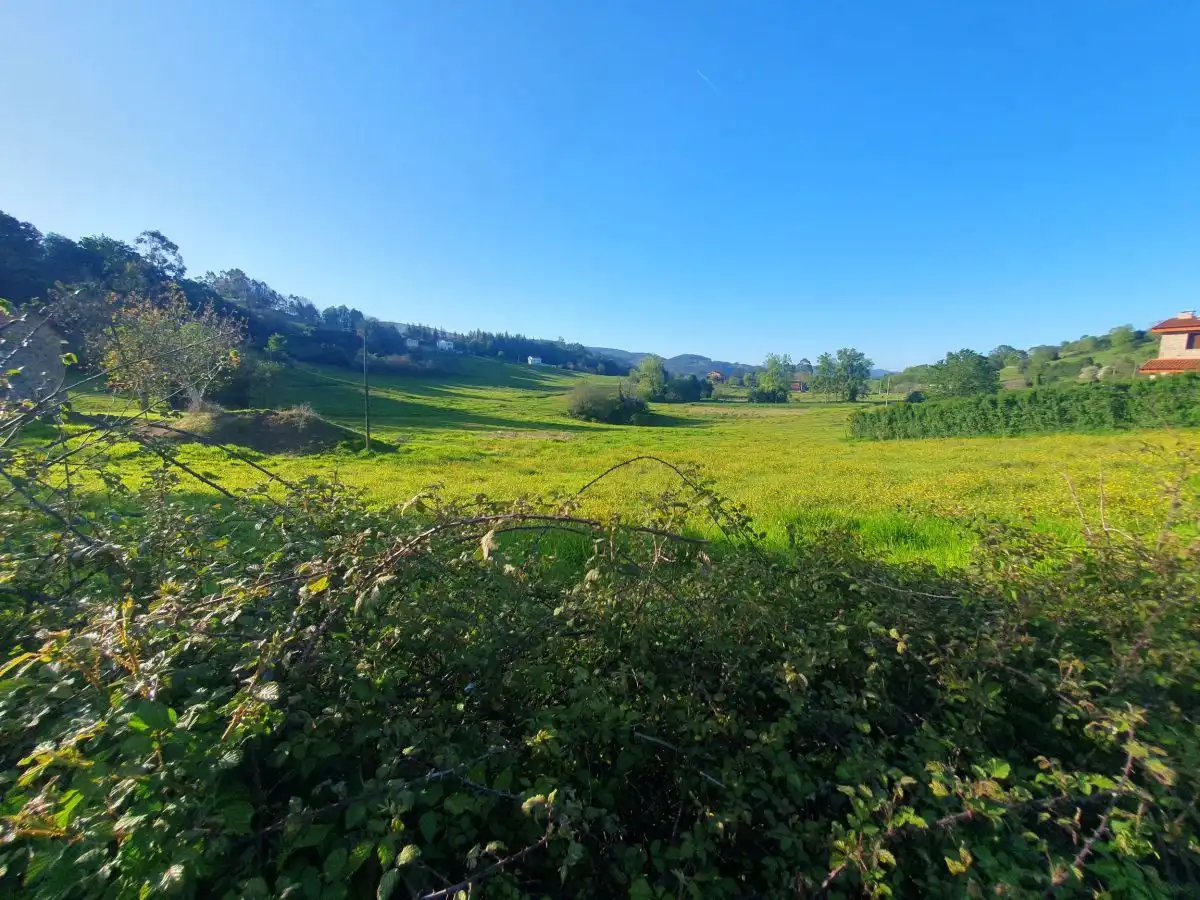 Terrenos y solares en venta en Salas, imagen 8