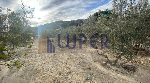 Foto 4 de Finca rústica en venda a Cañada del Fenollar, Alicante