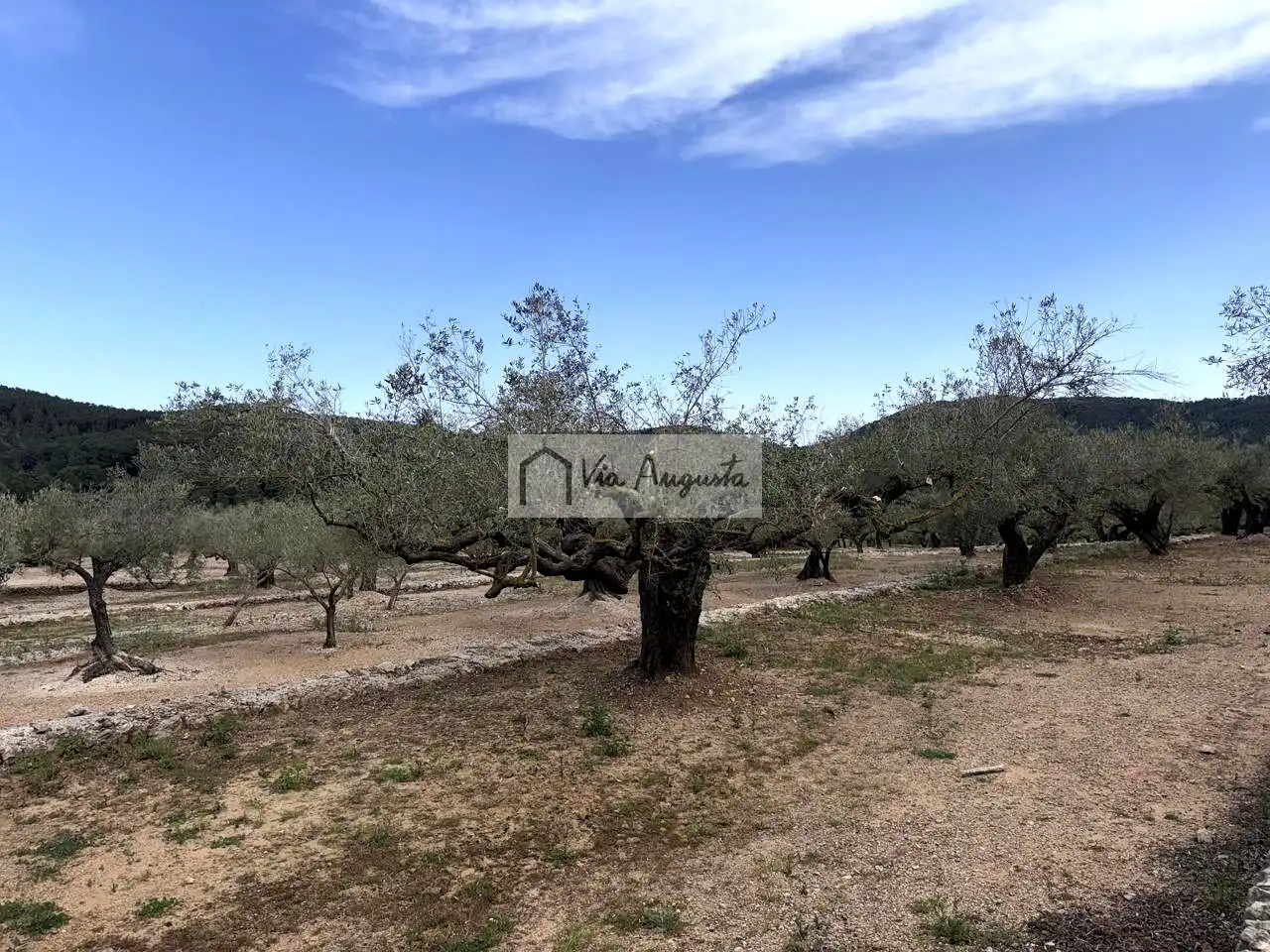 Country homes for sale in Tortosa