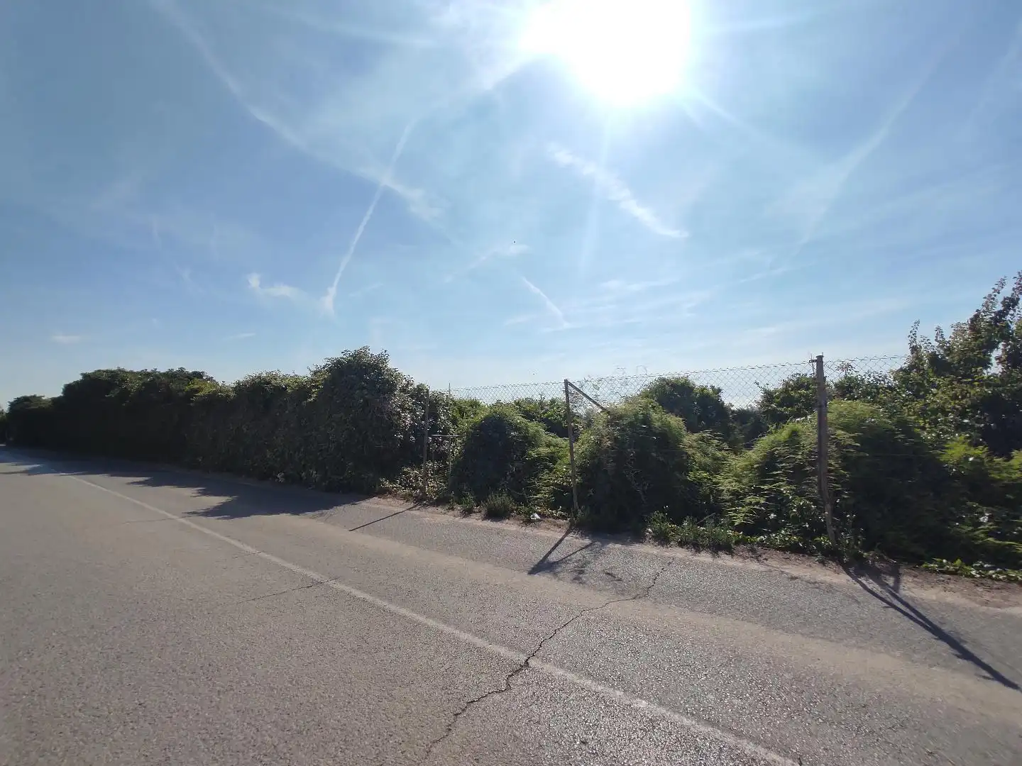 Land for sale in Valencia