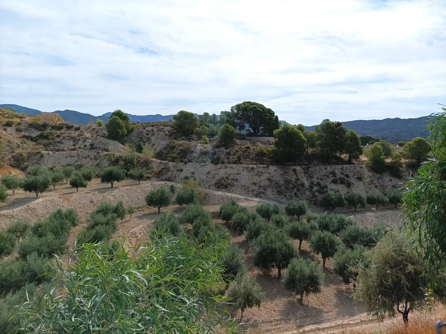 Xalet amb terrassa en venda a Carretera Alicante 3, imagen 43