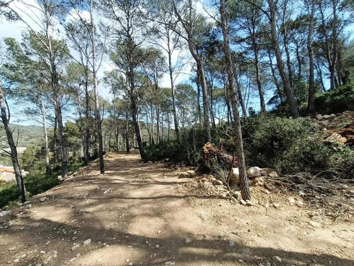 Terreno residencial en venta en Carrer PRINCIPAL 29, imagen 4