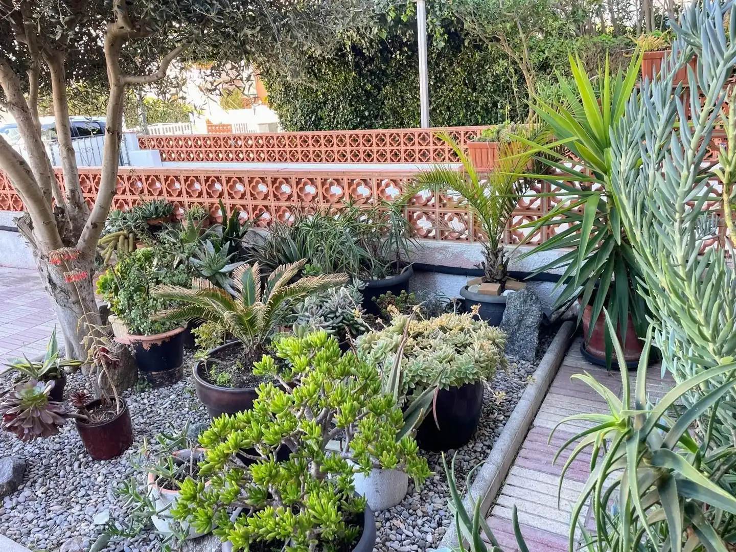 Jardí de Casa o xalet en venda en Empuriabrava amb Aire condicionat, Calefacció i Jardí privat