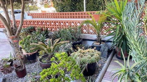 Foto 2 de Casa o xalet en venda a Puigmal - Mas Nou, Empuriabrava