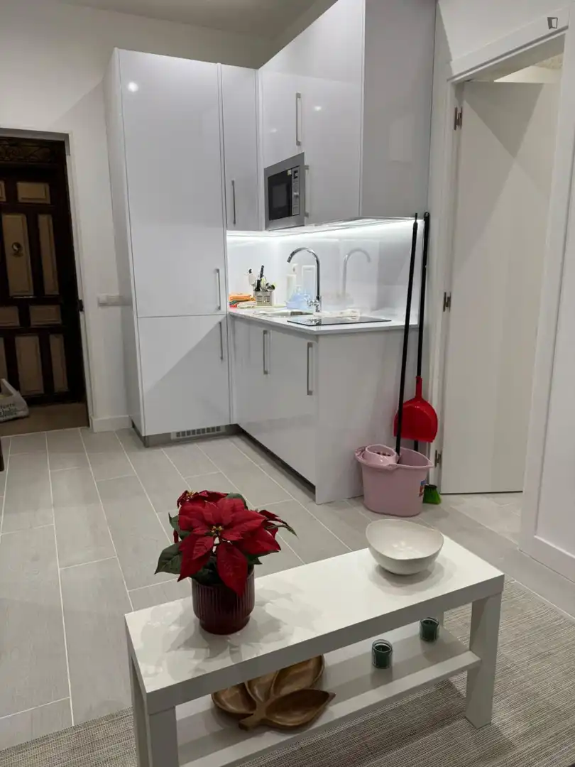 Apartament de lloguer a Centro, imagen 8