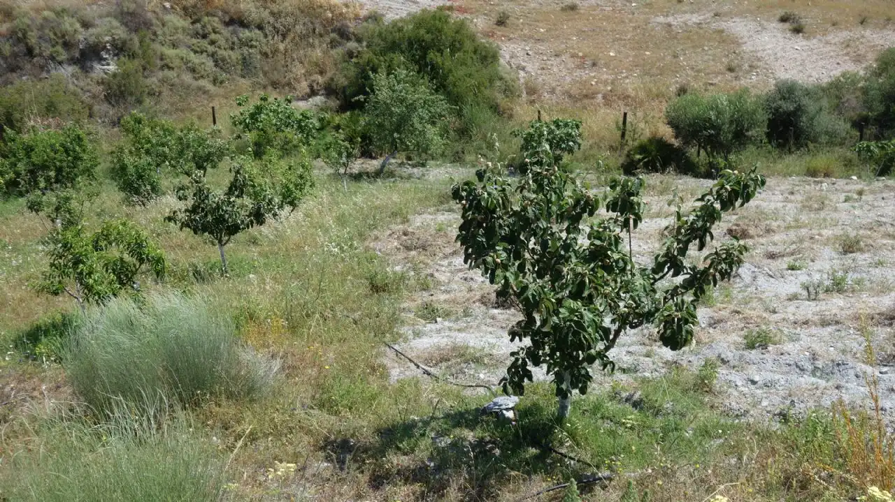 Casa rústica amb piscina en venda a Vélez de Benaudalla, imagen 31