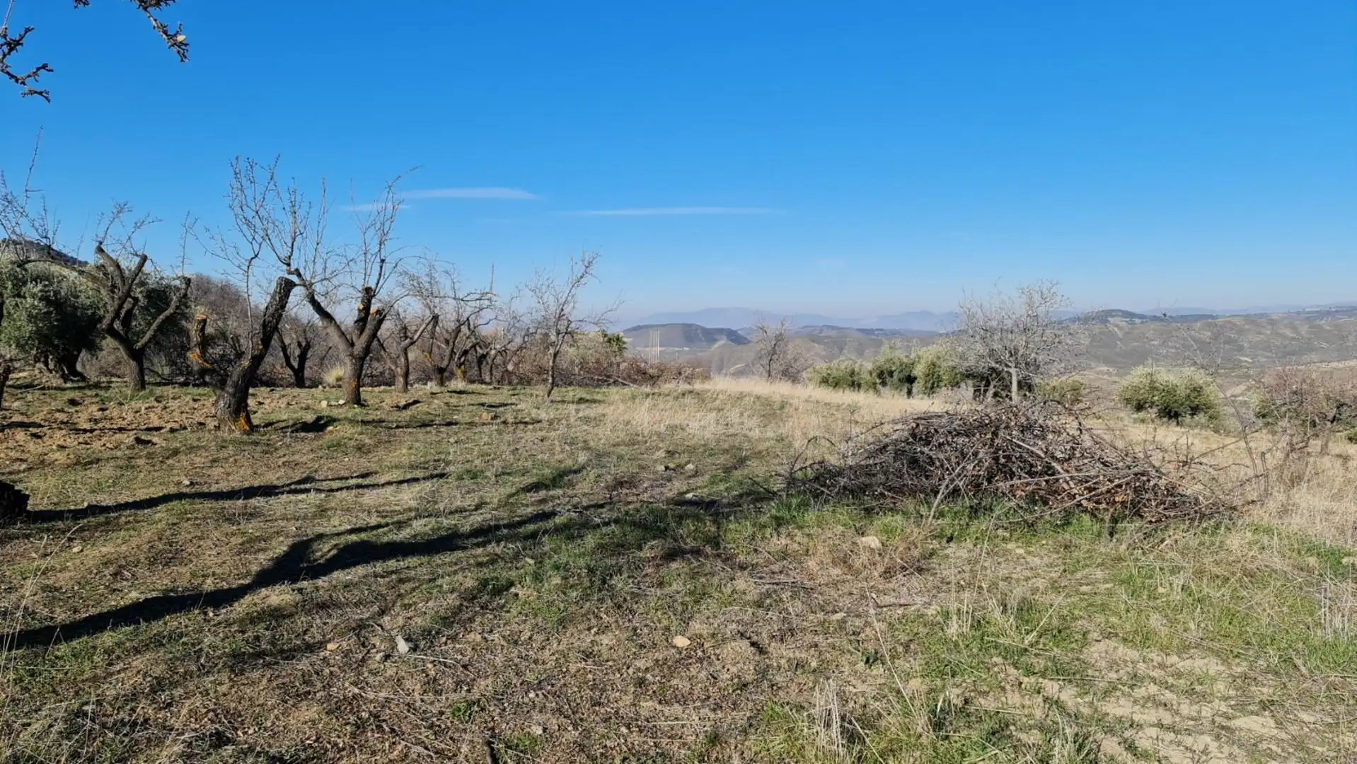 Rustikales Grundstück zum Verkauf in Pinos Genil, imagen 7