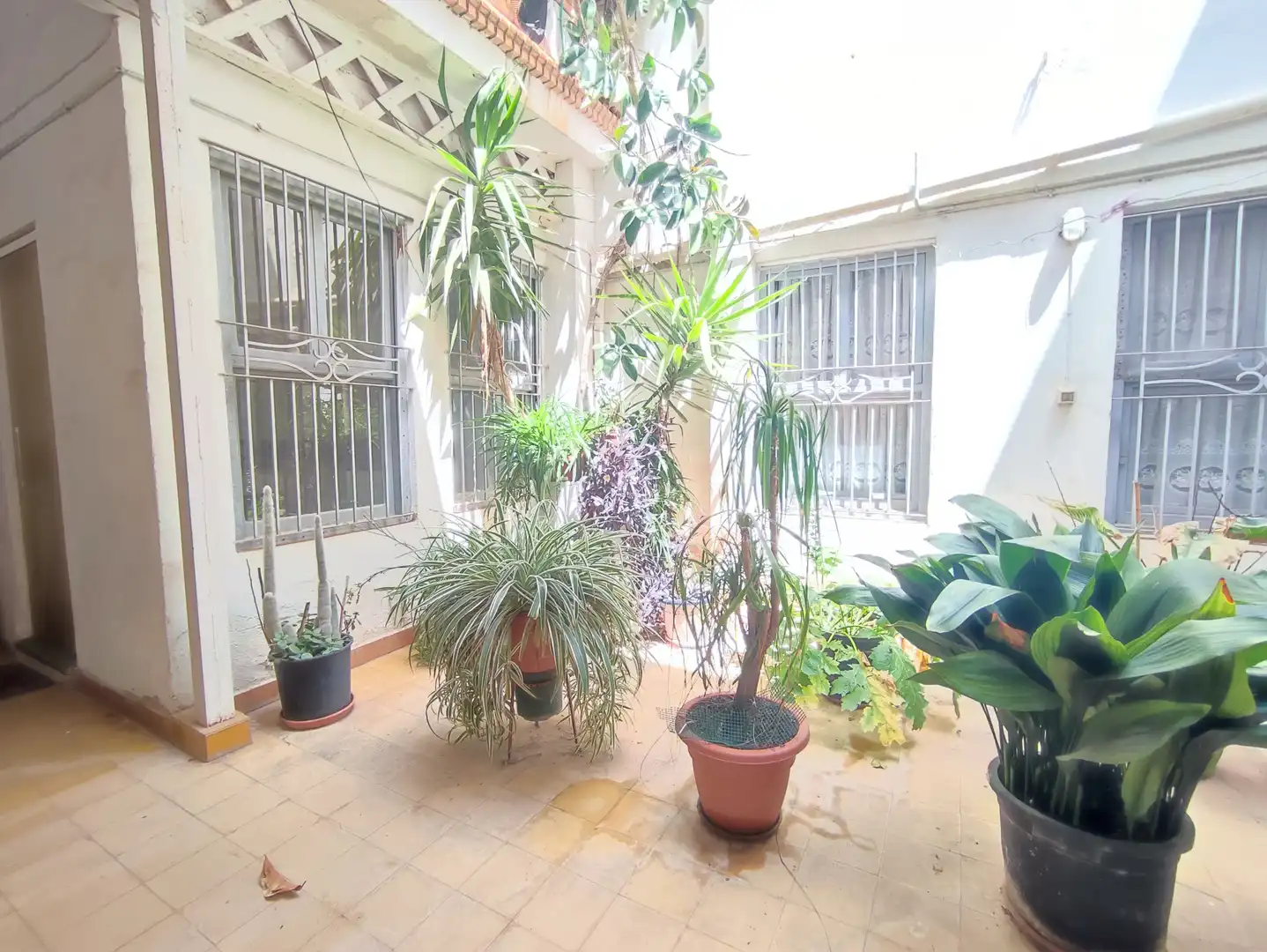Jardí de Casa o xalet en venda en Petrer amb Jardí privat, Terrassa i Traster