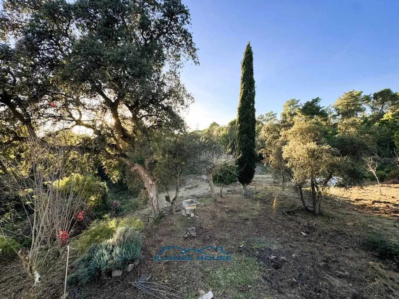Finca rústica en venda en Tordera amb Jardí privat