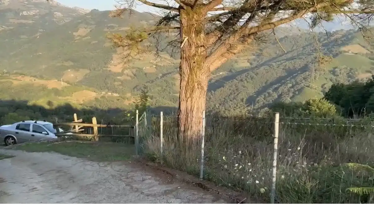 Terreno rústico en venta en Laviana, imagen 2