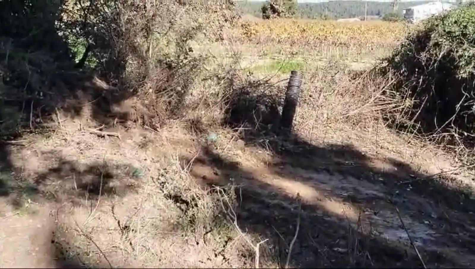 Residential land for sale in Calle Drago ( CAN CORAL), imagen 7