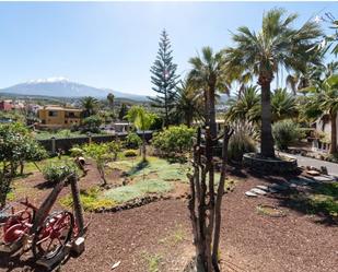 Jardí de Casa o xalet en venda en Icod de los Vinos amb Terrassa i Piscina