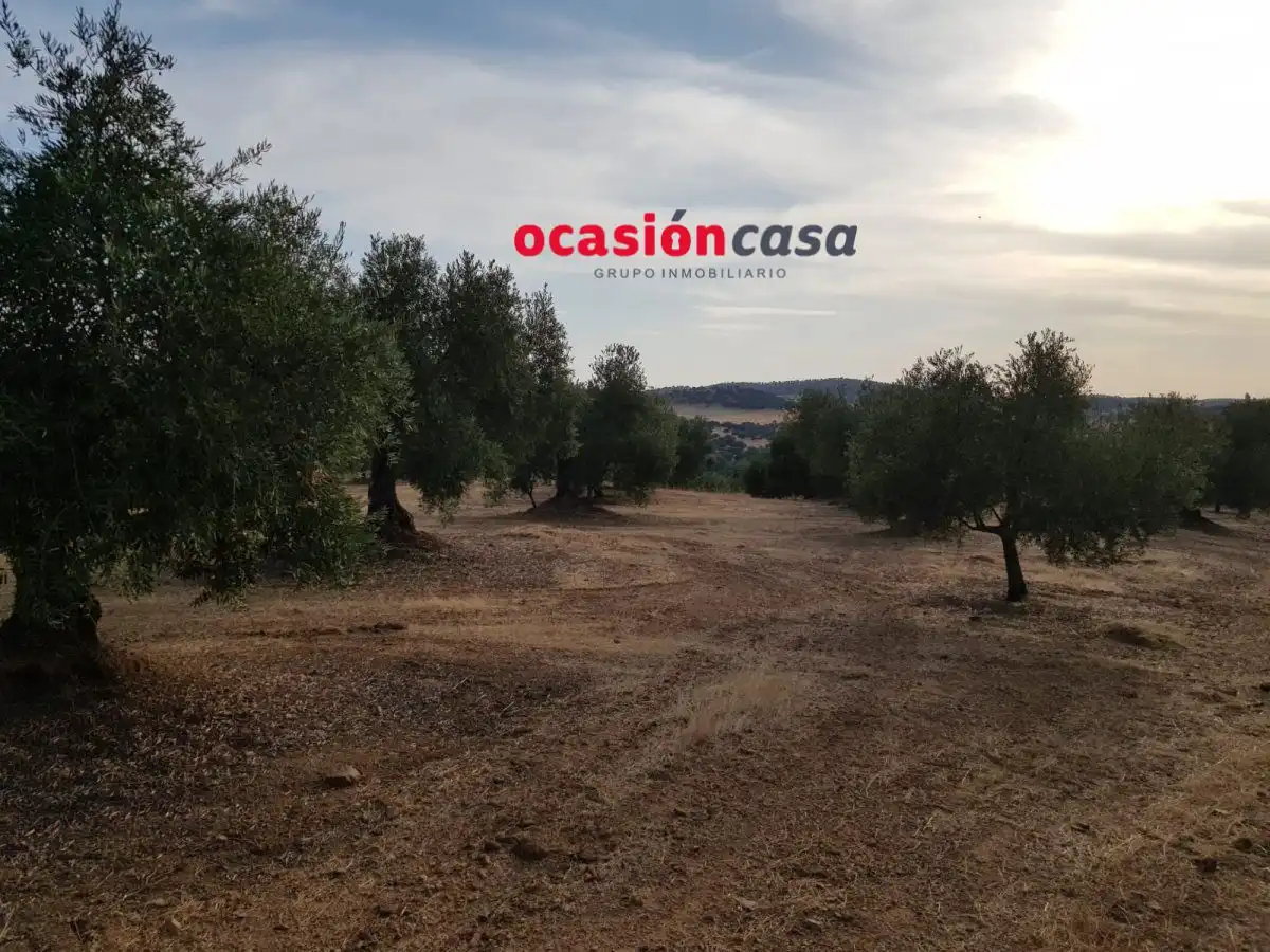 Finca rústica en venta en Espiel con Piscina y Amueblado
