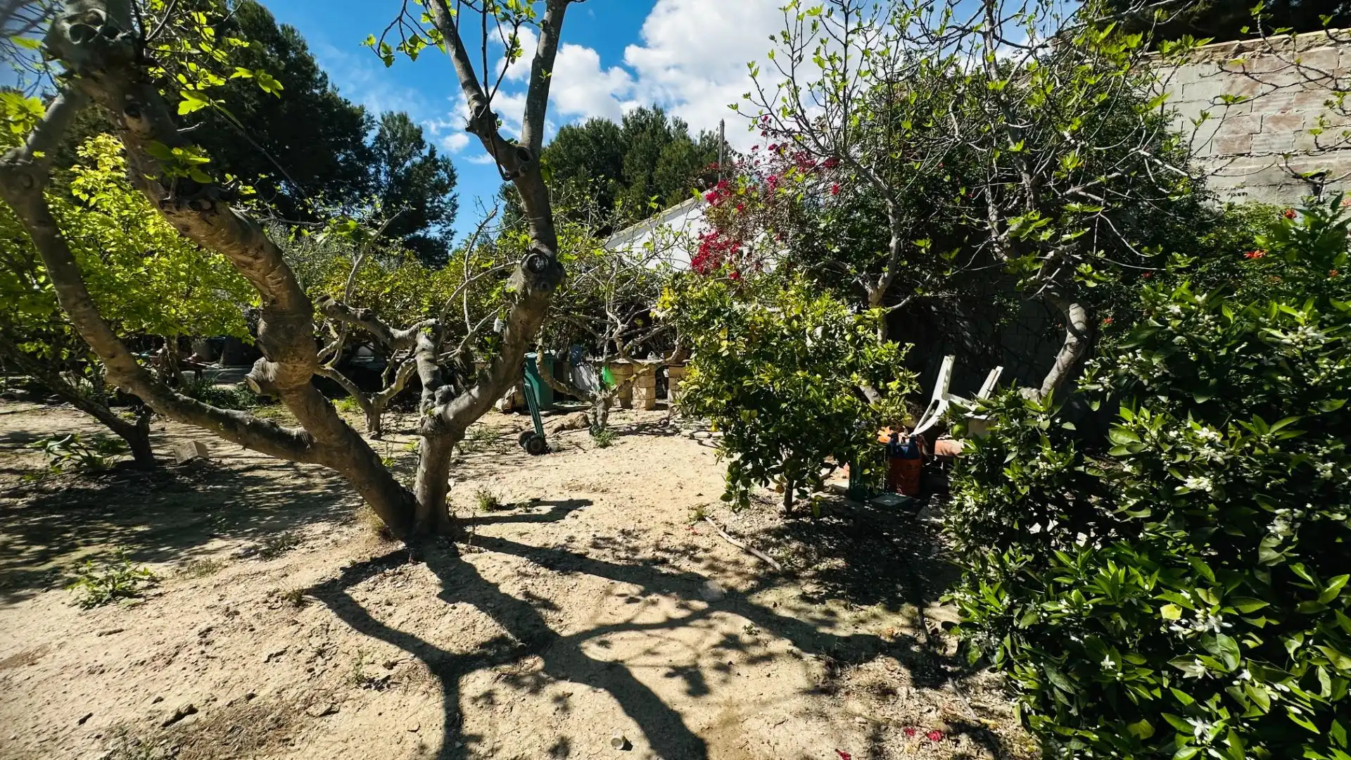 Jardí de Casa o xalet en venda en Elche / Elx amb Jardí privat, Traster i Piscina